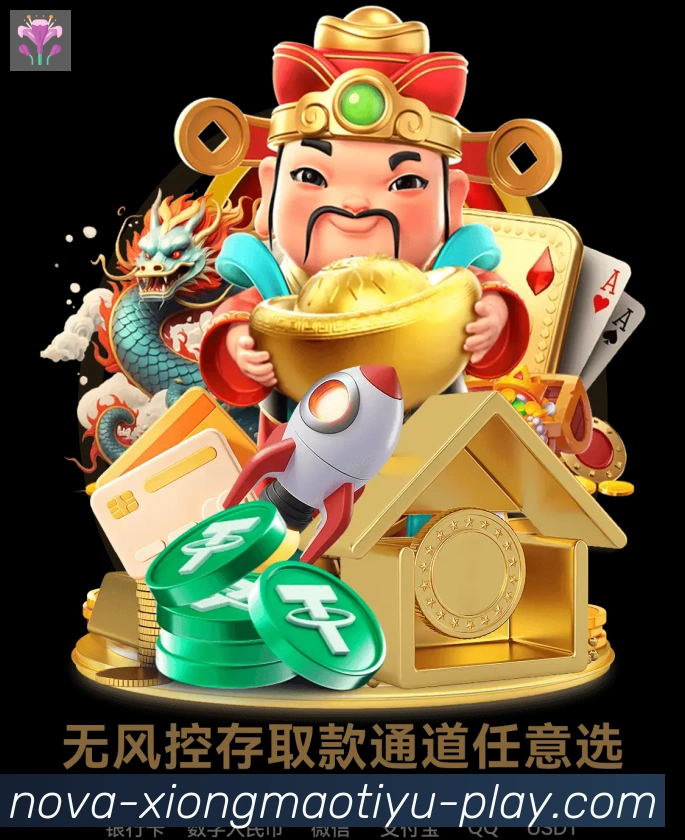 未来规划